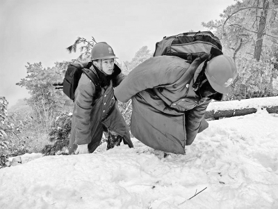           输电运检人员对220千伏桐垣I线42号塔进行特巡 焦瑞浩 摄        