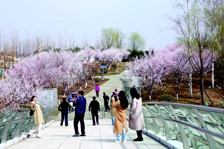           如诗如画的春景吸引游客踏春赏花 图片由晋源区融媒体中心提供        