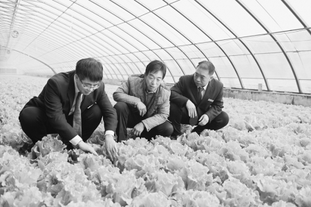           稷山农商银行紧盯春耕备耕主动出击        