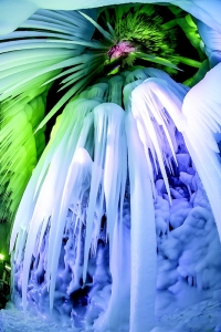           “华夏第一冰洞”        