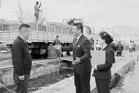           “金融活水”“贷”动沁水三文鱼产业跑出加速度 图片由沁水农商银行提供        