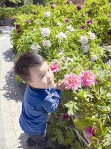           本组摄影 本报记者 李芸红        