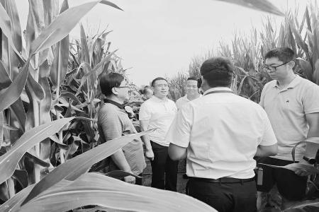           现场观摩学习，共探成果转化良方。 图片由临猗现代农业产业示范区提供        