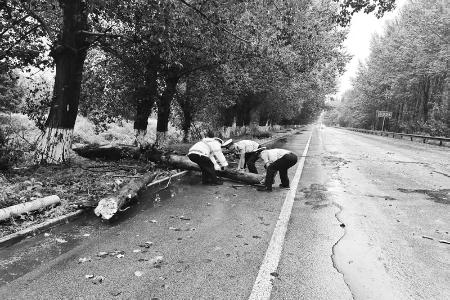           以“荧光黄”为甲，淬炼守护生命的硬核力量。 图片由灵丘县公安交警大队青年突击队提供        