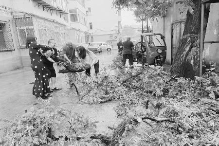          青年突击队队员冒雨集结，高效开展清障工作。 图片由受访集体提供        