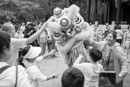           图片由太原市晋源区融媒体中心提供        