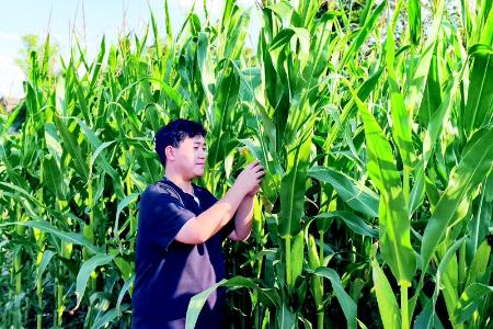           李洋奋斗在乡村振兴的广阔天地间 图片由受访者提供        