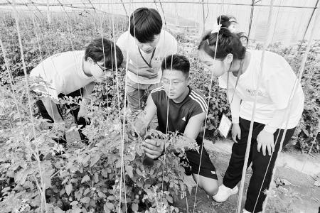           为高质量发展储备人才 图片由团大同市委提供        