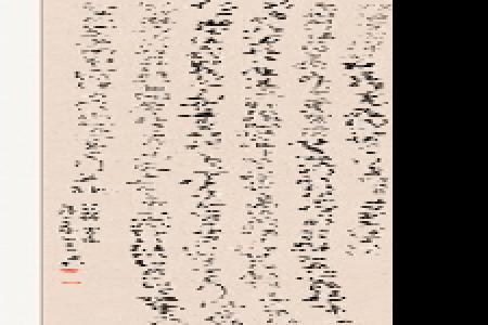           黄 杨 草书《自作晋士美魂文》        