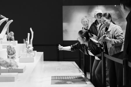 图片由山西博物院提供