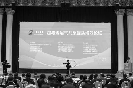 实习生 南嘉豪 摄