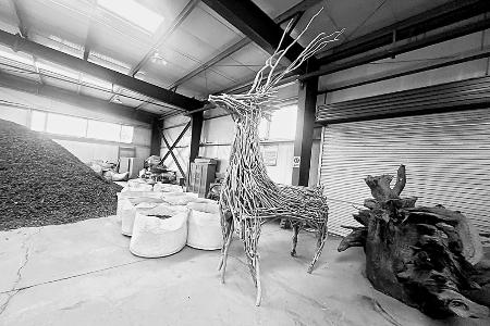 通讯员 石夏丽 摄