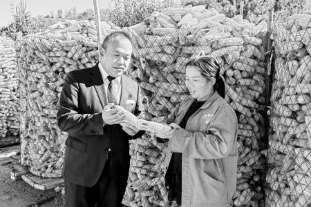 和顺农商银行为秋粮丰收保驾护航 通讯员 王玮琎 摄