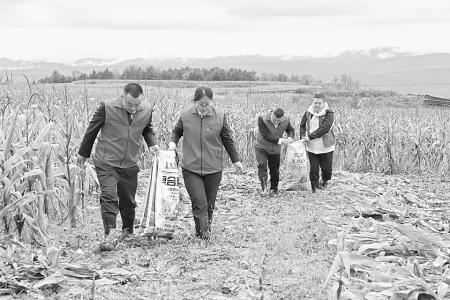 山西农信倾力服务地方发展 图片由山西图片由山西农商银行提供农商银行提供