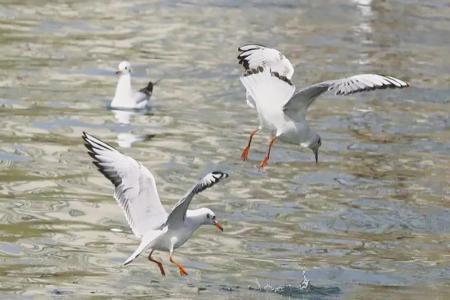 本版图片除署名外均为资料图片