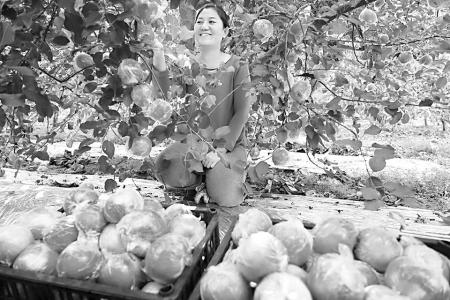 清徐农商银行做好本土金融主力军 图片由清徐农商银行提供