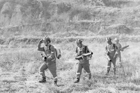 实习生 南家豪 摄