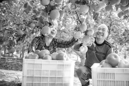 图片由垣曲农商银行提供