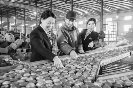 临猗农商银行创新模式，推动当地果品走向世界。 通讯员 黄骁 摄