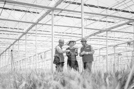 右玉县供电公司工作人员深入种植基地，向种植户宣传安全用电注意事项。 张唯 摄