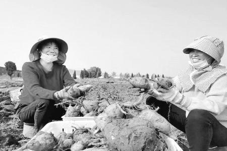 五台农商银行不断提升精细化管理水平 图片由五台农商银行提供