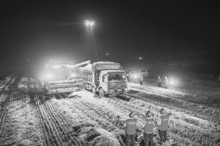 为农场夏收提供移动照明服务
