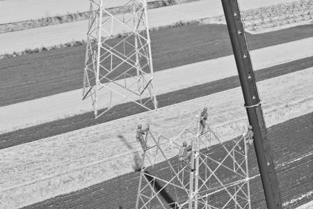 组织员工进行组塔作业