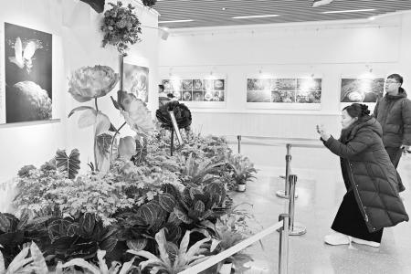 通讯员 李佳芬 摄