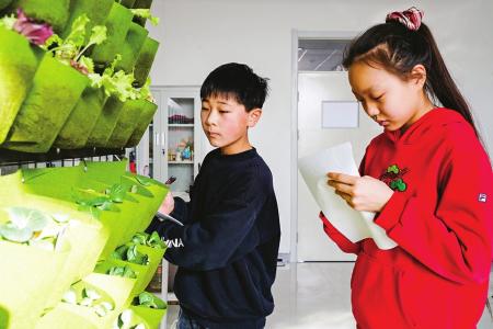 通讯员 张宗昌 摄