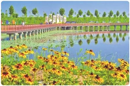 汾河生态廊带景色宜人