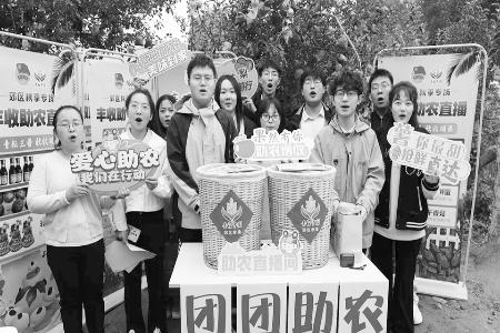 青年积极投身乡村振兴 图片由共青团阳泉市郊区区委提供