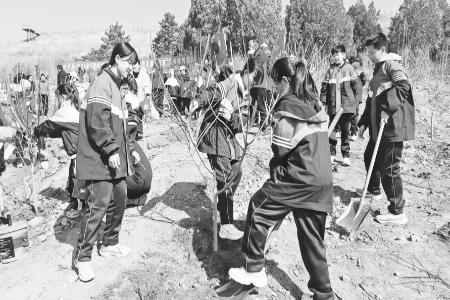 图片由团沁水县委提供