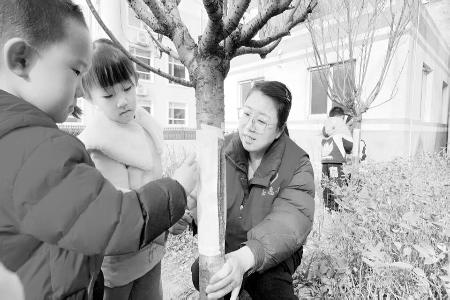 孩子们通过拓印的方式感受树木的生长印记 本报记者 孟存田 摄