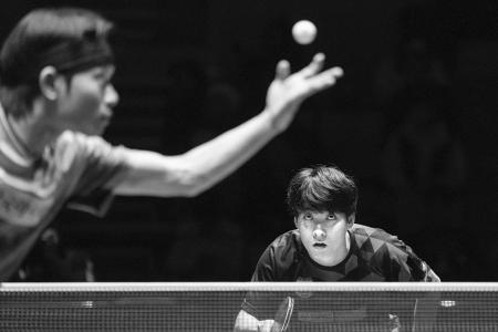 本报记者 胡远嘉 摄