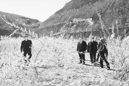 苦连翘变成百姓增收“摇钱树” 图片由通讯员云鹏提供