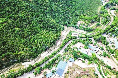 本报记者 任小芳 摄