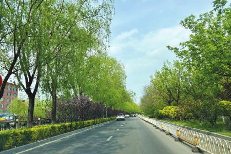 南沙河沿岸本报记者 任小芳 摄