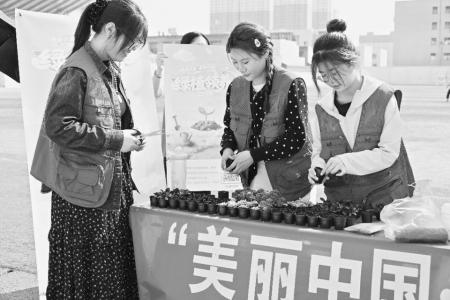 大学生参与绿植领养活动 图片由团省委社联部提供