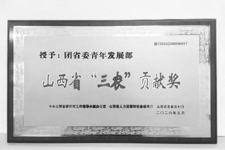 图片由团省委青年发展部提供