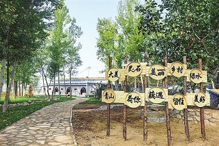 西许村以藕为媒振兴乡村 本版图片均为资料图片