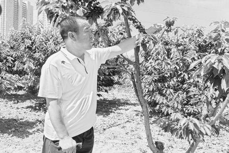 孙林带动残疾人增收致富