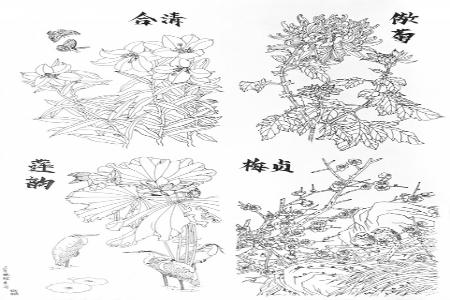 扫描二维码观看优秀作品