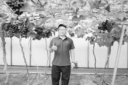 以抱团发展带动共同增收