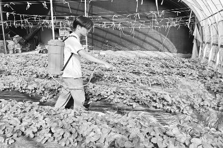 图片由共青团灵丘县委提供