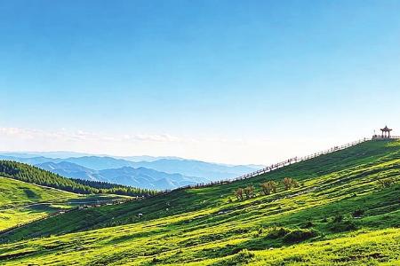 西华镇亚高山草甸